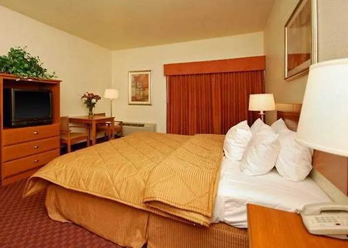Spark By Hilton Scottsdale