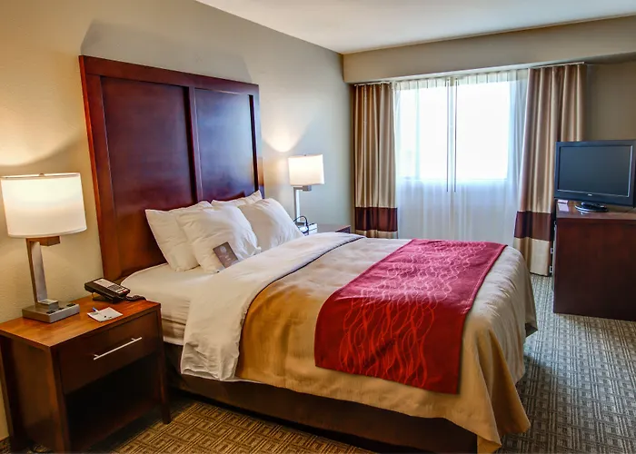Spark By Hilton Scottsdale Gasthof 2*
