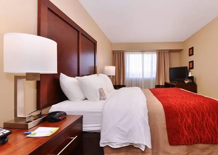 Spark By Hilton Scottsdale Fountain Hills